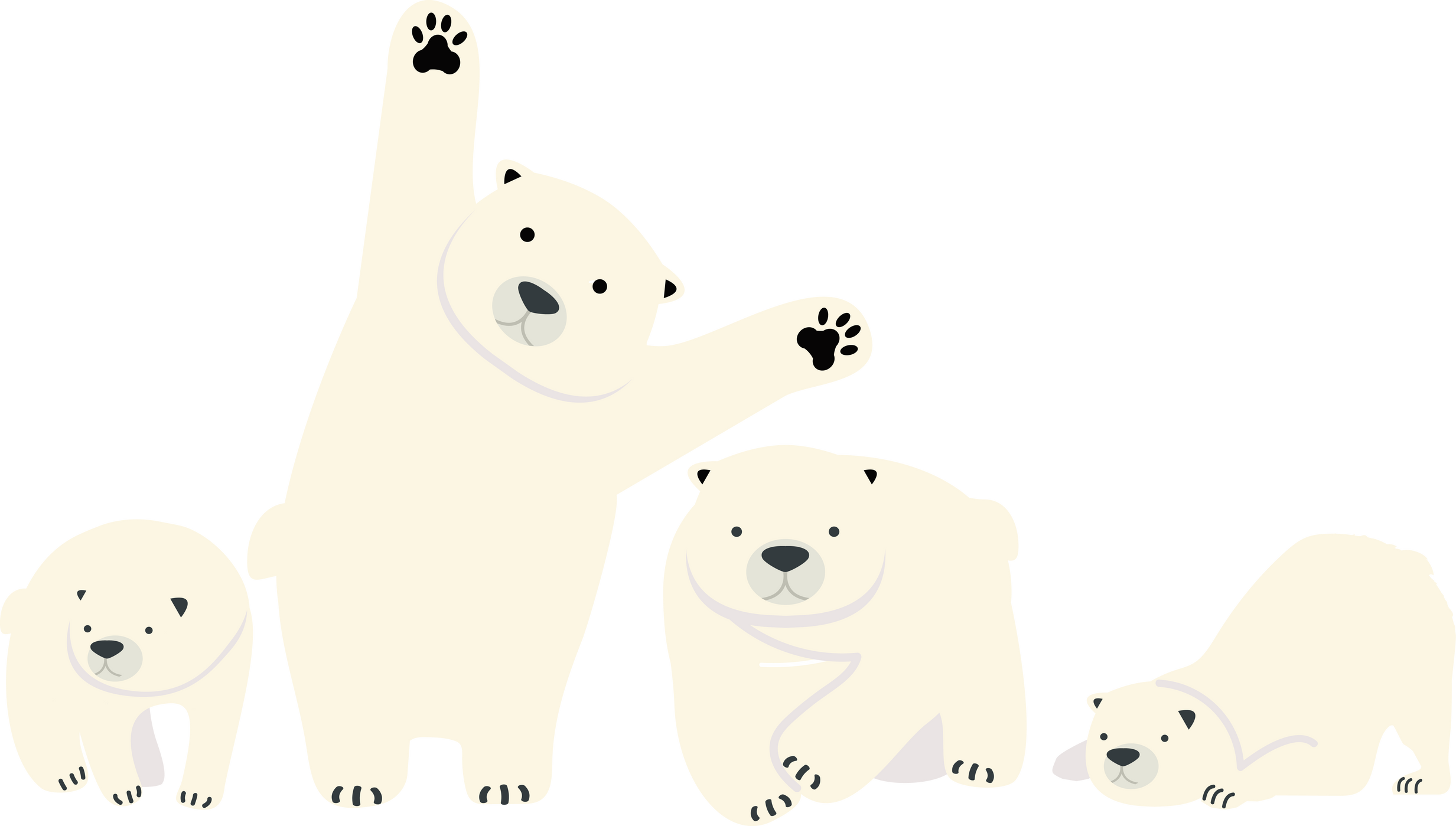 Cute Polar bear  set