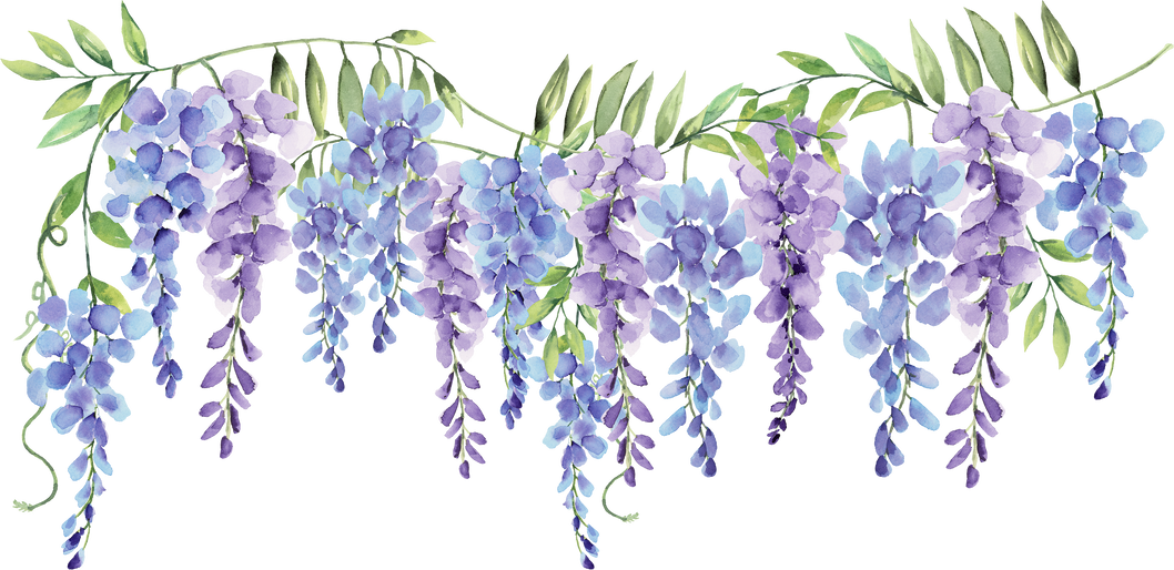 wisteria purple flower watercolor small border