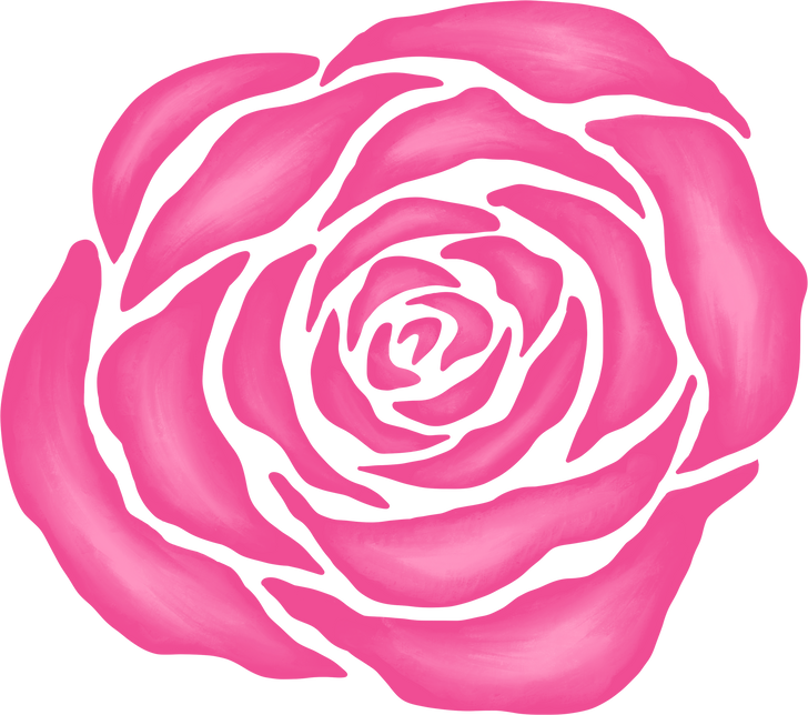 pink rose illustration